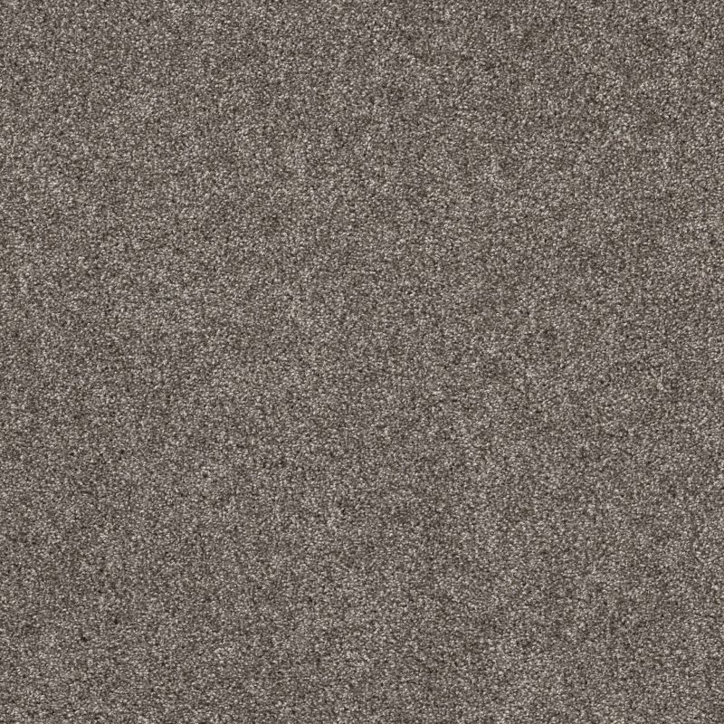 Shaw Floors Pet Perfect Va124 Ashes