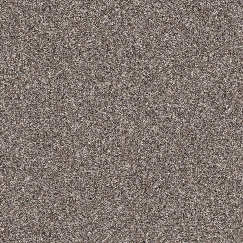Shaw Floors Value Collections Va126 Alaskan Air