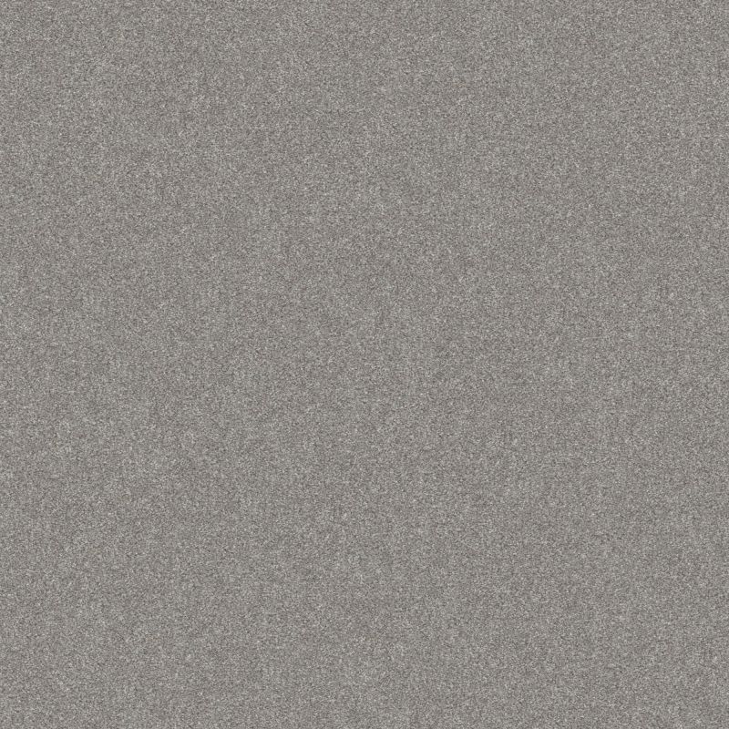 Shaw Floors Value Collections Go After It 3 Net Etched