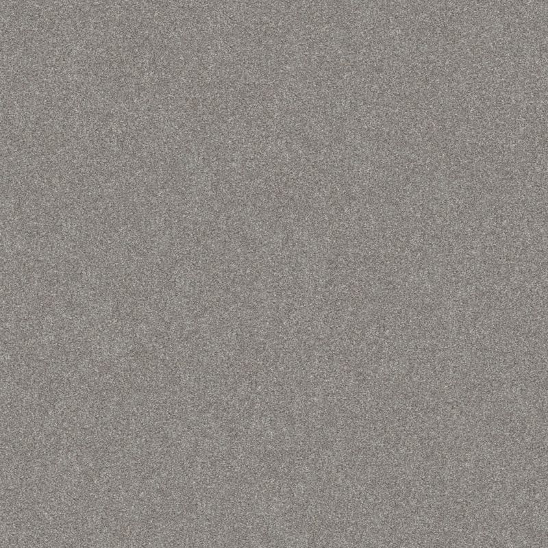 Shaw Floors Value Collections Go After It 4 Net Etched