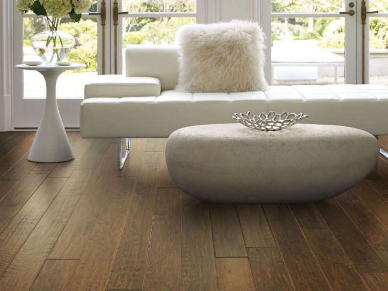 Shaw Floors Nfa Premier Gallery Hardwood Dawson Maple 5" Bison