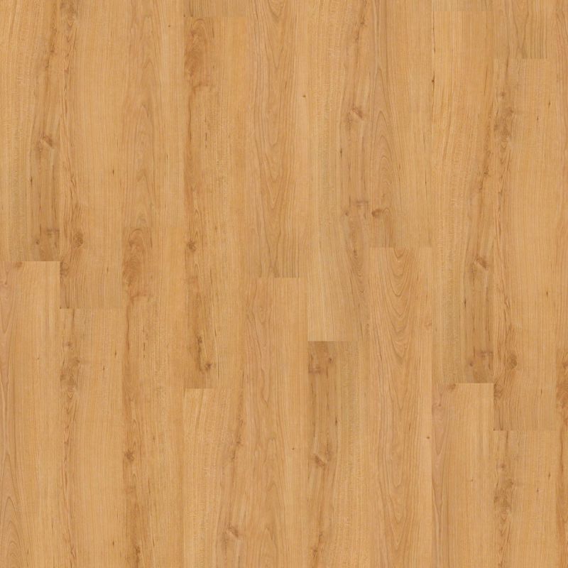 Shaw Floors Nfa HS Society 6mil Central Park