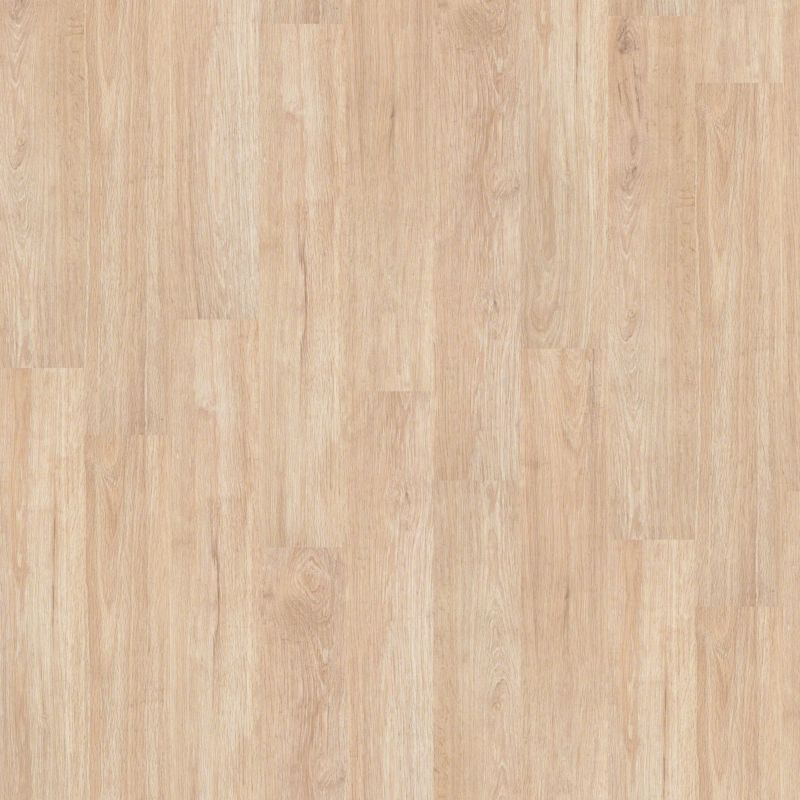 Shaw Floors Nfa HS Society 12 Mil Sidewalk