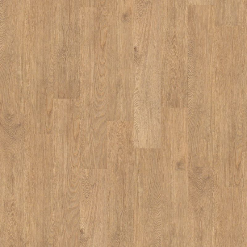 Shaw Floors Nfa HS Society 12 Mil City Center