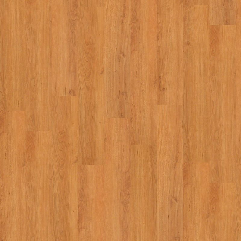 Shaw Floors Nfa HS Society 12 Mil Metro