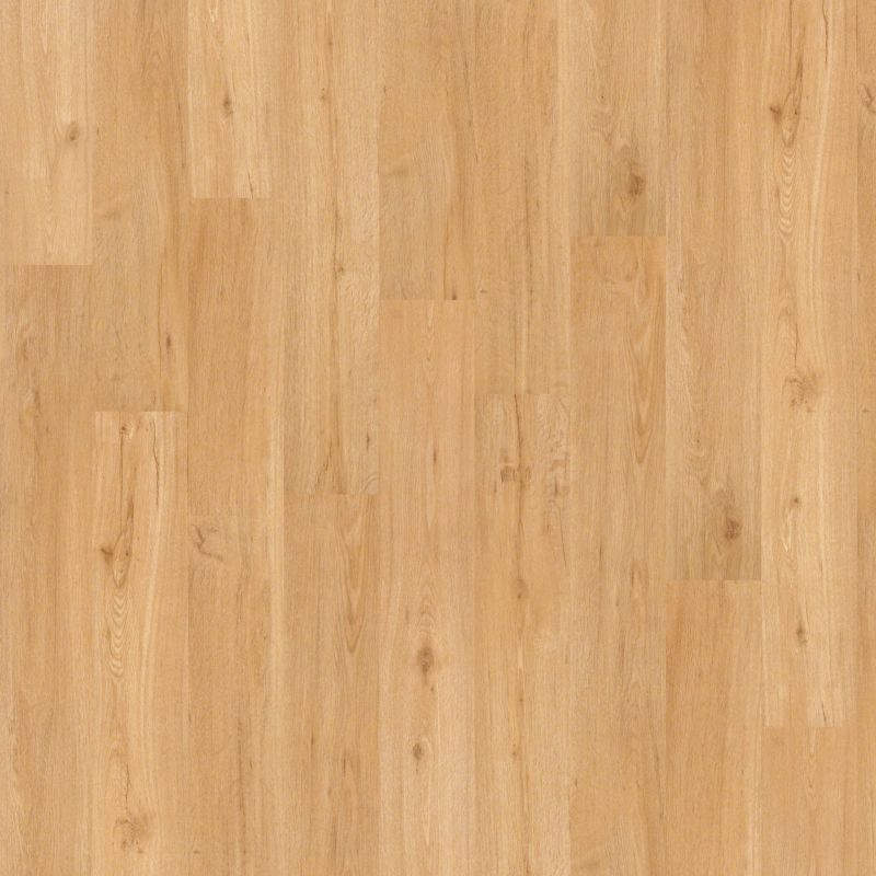 Shaw Floors Nfa HS Ellis Island 6 Mil San Francisco