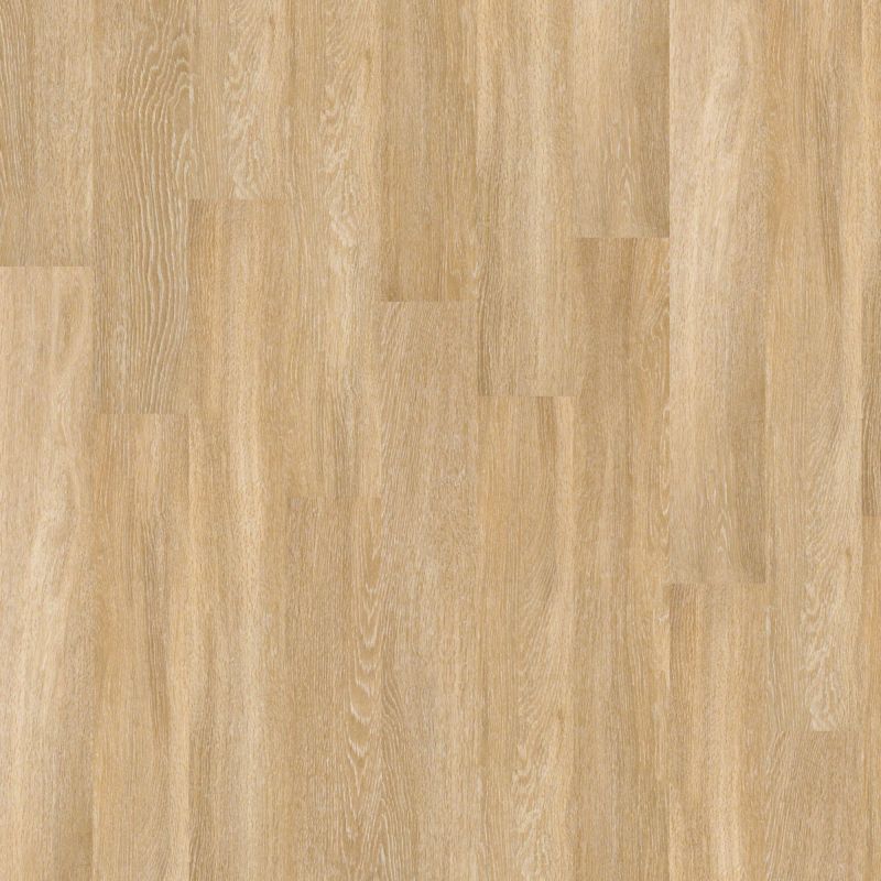 Shaw Floors Nfa HS Ellis Island 6 Mil Paris