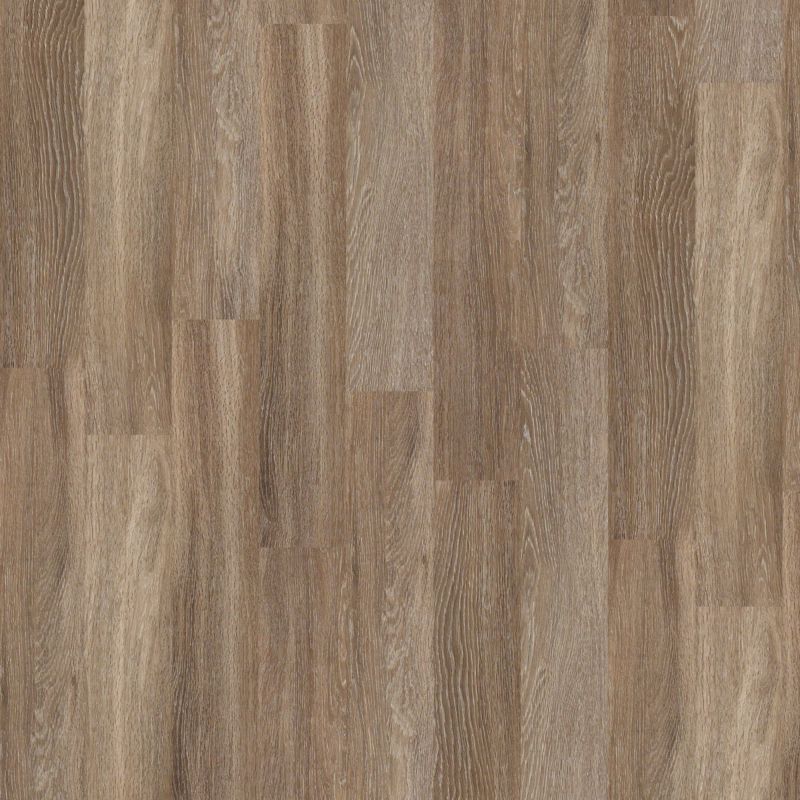 Shaw Floors Nfa HS Ellis Island 6 Mil Seattle