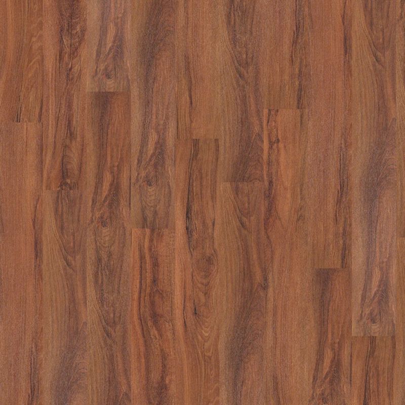 Shaw Floors Nfa HS Ellis Island 6 Mil St. Louis