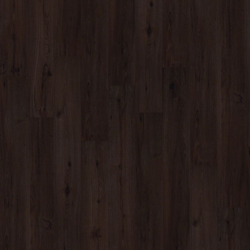 Shaw Floors Nfa HS Ellis Island 6 Mil Barcelona