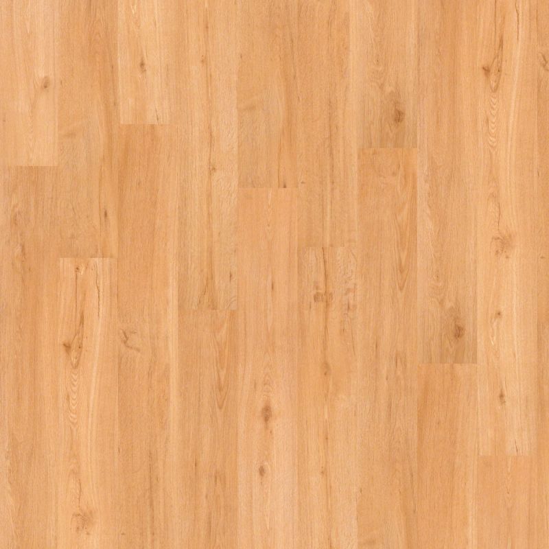Shaw Floors Nfa HS Ellis Island12mil San Francisco