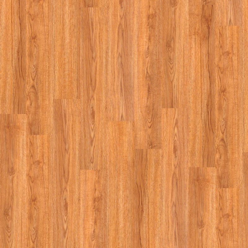 Shaw Floors Nfa HS Ellis Island12mil Philadelphia