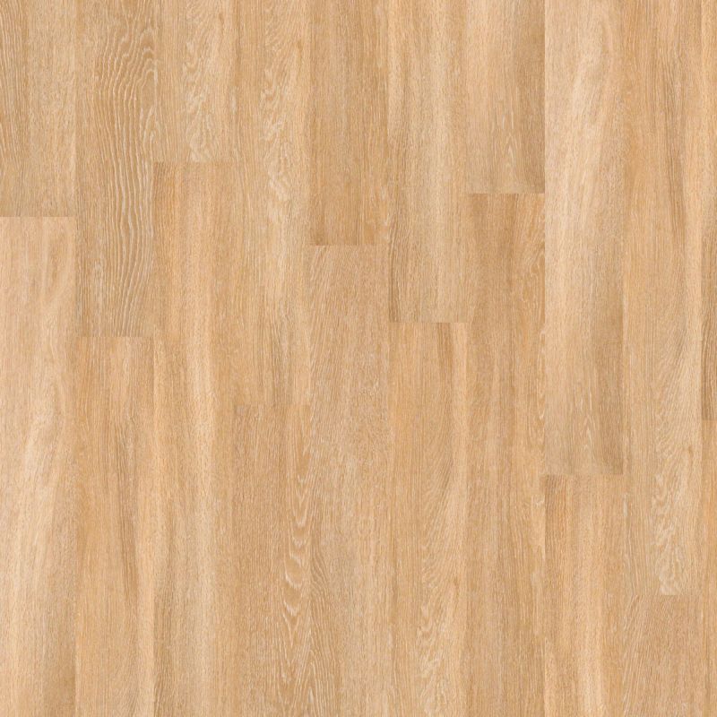 Shaw Floors Nfa HS Ellis Island12mil Paris