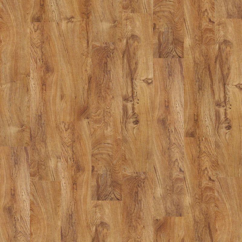 Shaw Floors Nfa HS Barton Plus Tropic