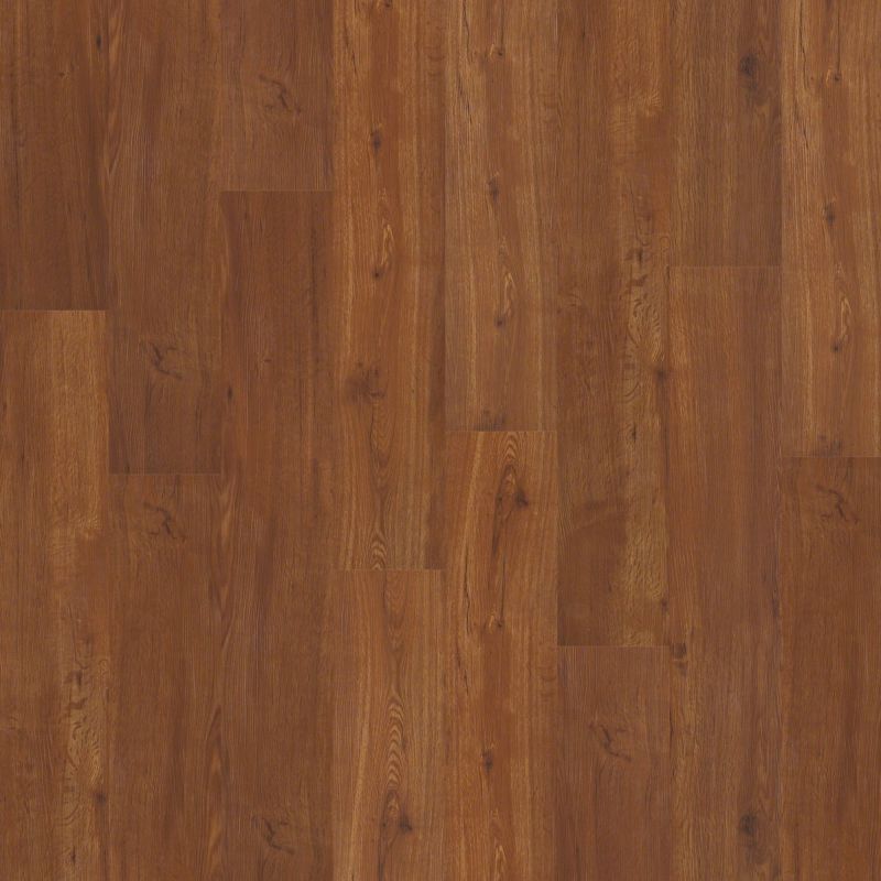 Shaw Floors Nfa HS Barton Plus Universal