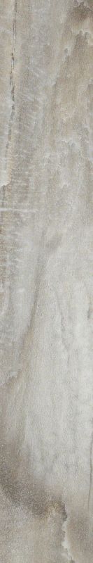 Shaw Floors Nfa Premier Gallery Resilient Amherst Portabello