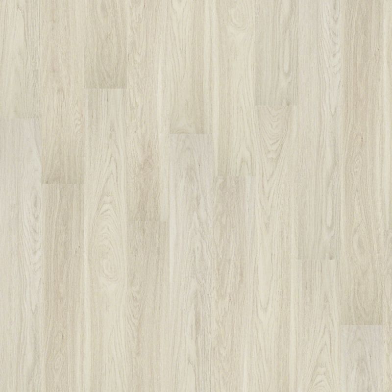 Shaw Floors Nfa HS Dover Plus Majestic