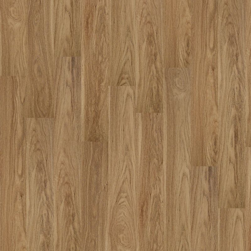 Shaw Floors Nfa HS Dover Plus Museum