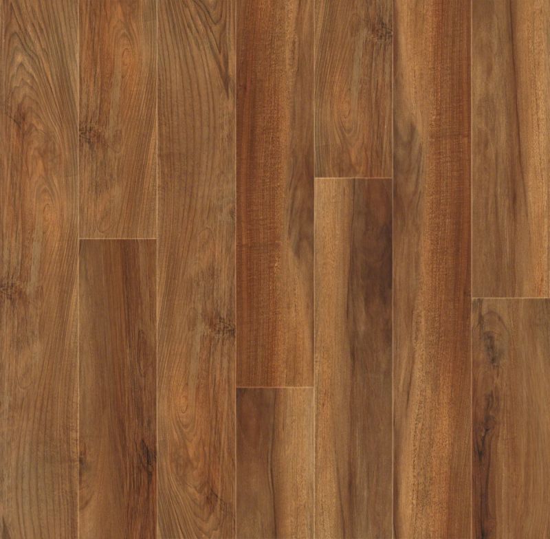 Shaw Floors Nfa HS Dover Venna