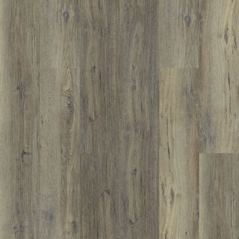 Shaw Floors Nfa HS Beaver Creek Sandy Oak
