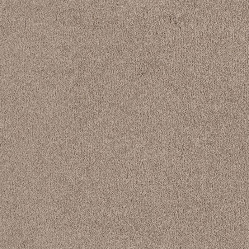 Shaw Floors Roll Special Xv131 (s) Pebble Beige