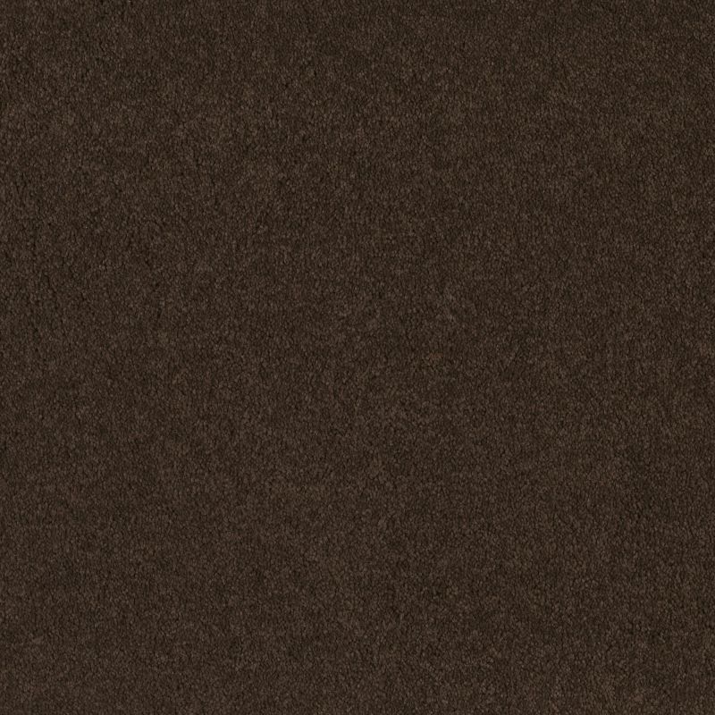 Shaw Floors Roll Special Xv131 (s) Brown Sugar