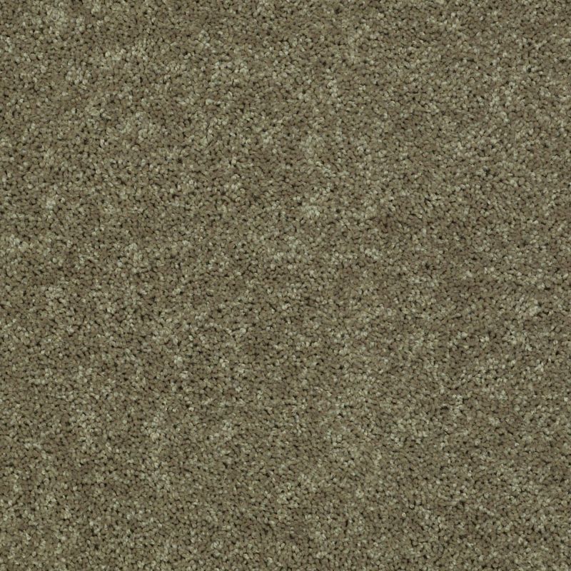 Shaw Floors Roll Special Xv304 Aloe