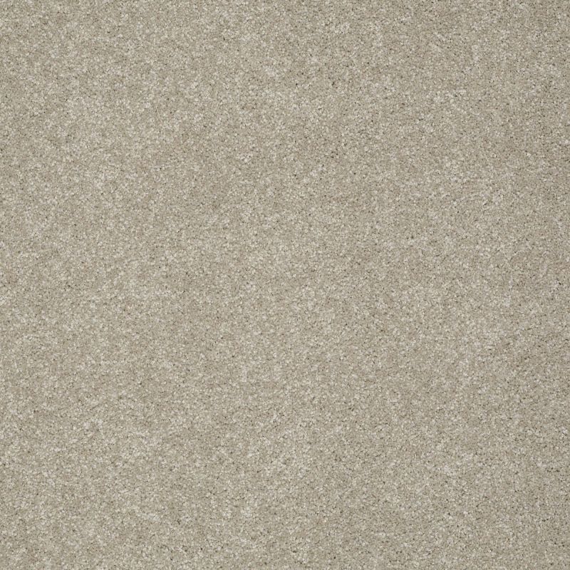 Shaw Floors Roll Special Xv308 Warm Oatmeal