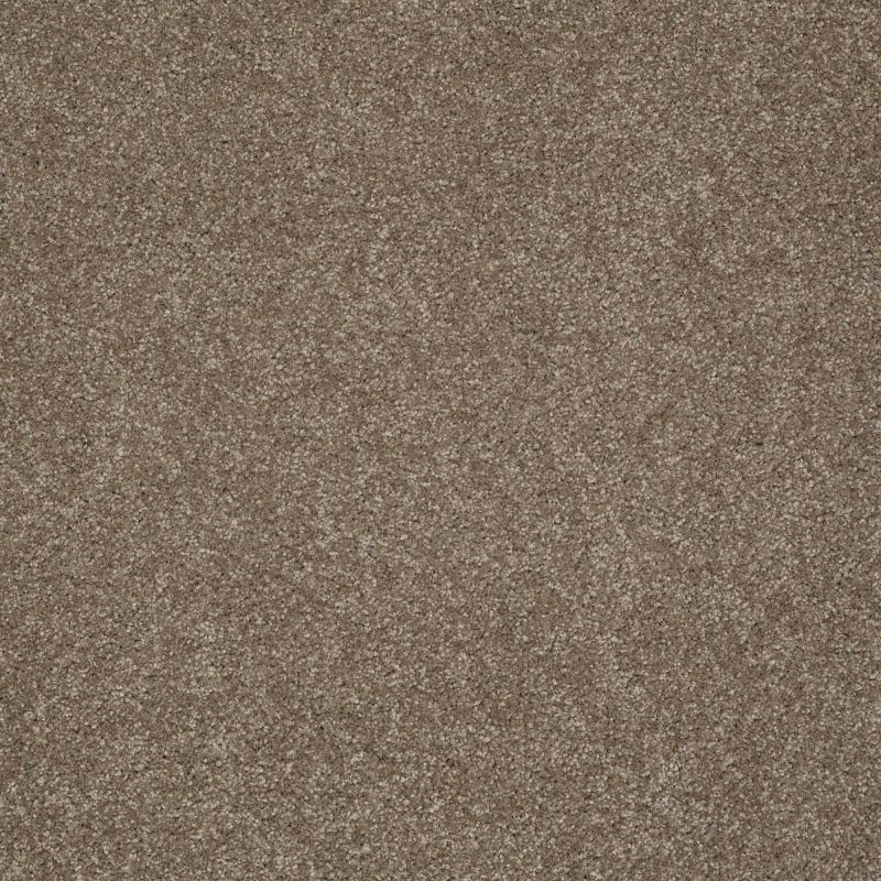 Shaw Floors Roll Special Xv309 Iced Coffee