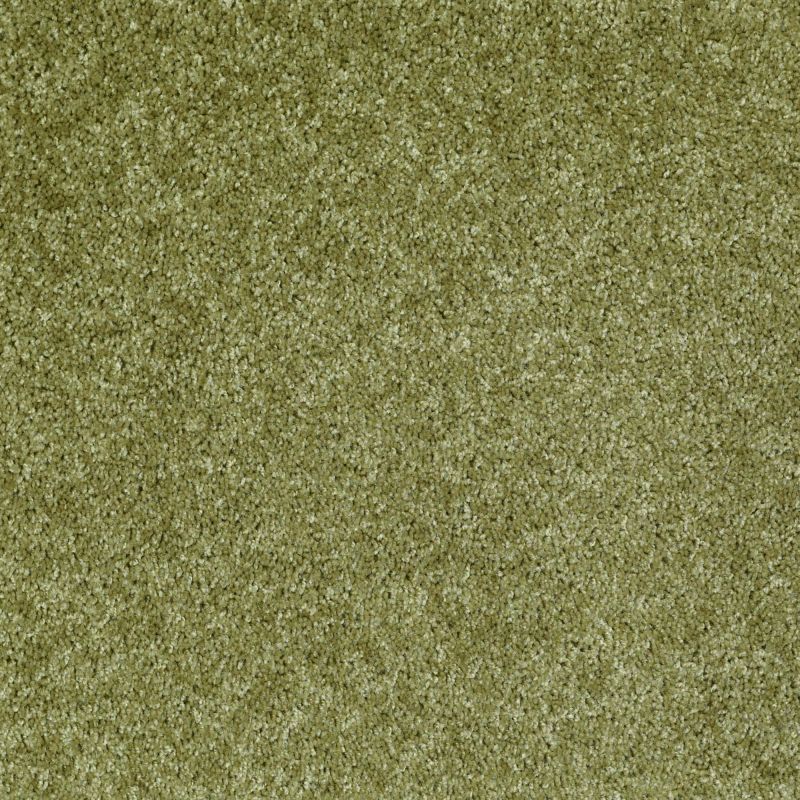 Shaw Floors Roll Special Xv463 Spring Valley