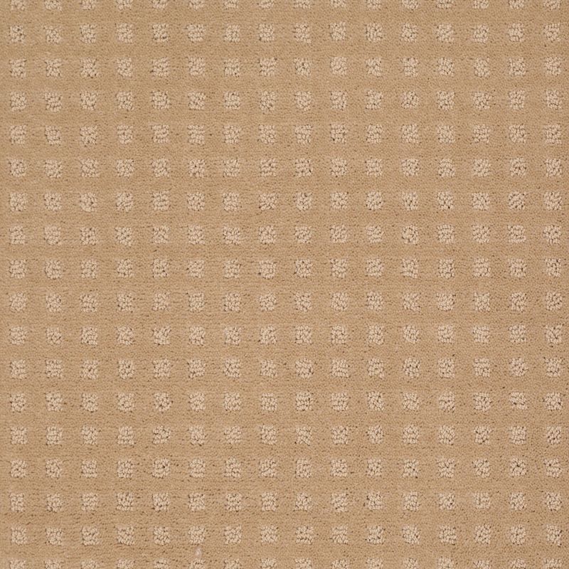 Shaw Floors Roll Special Xv621 Natural Grain