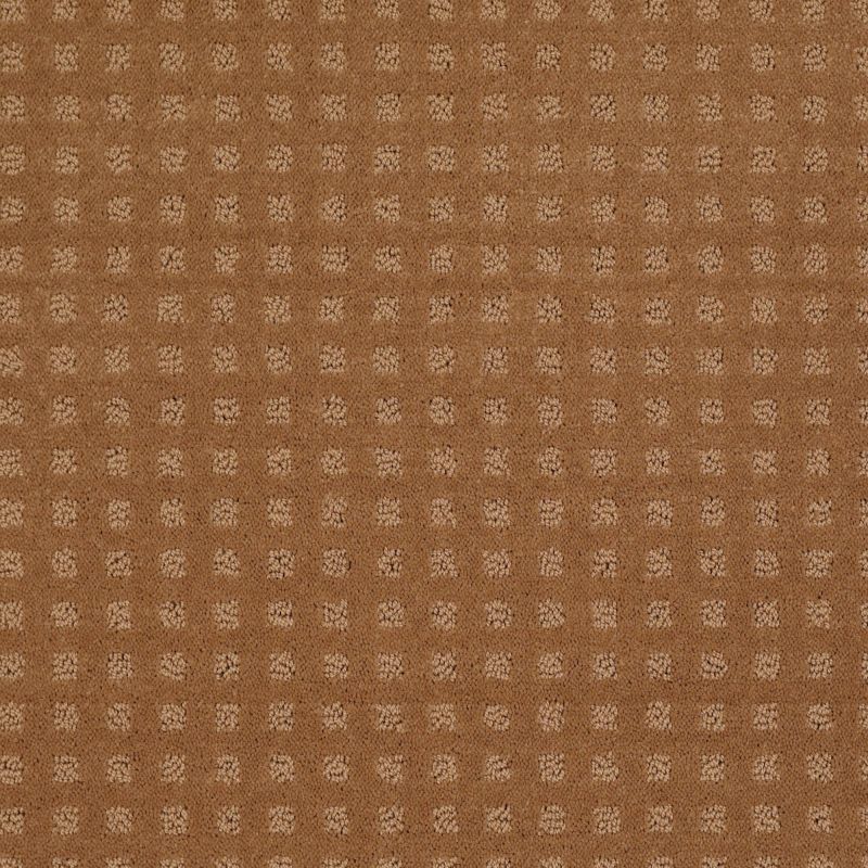 Shaw Floors Roll Special Xv621 Gold Coin