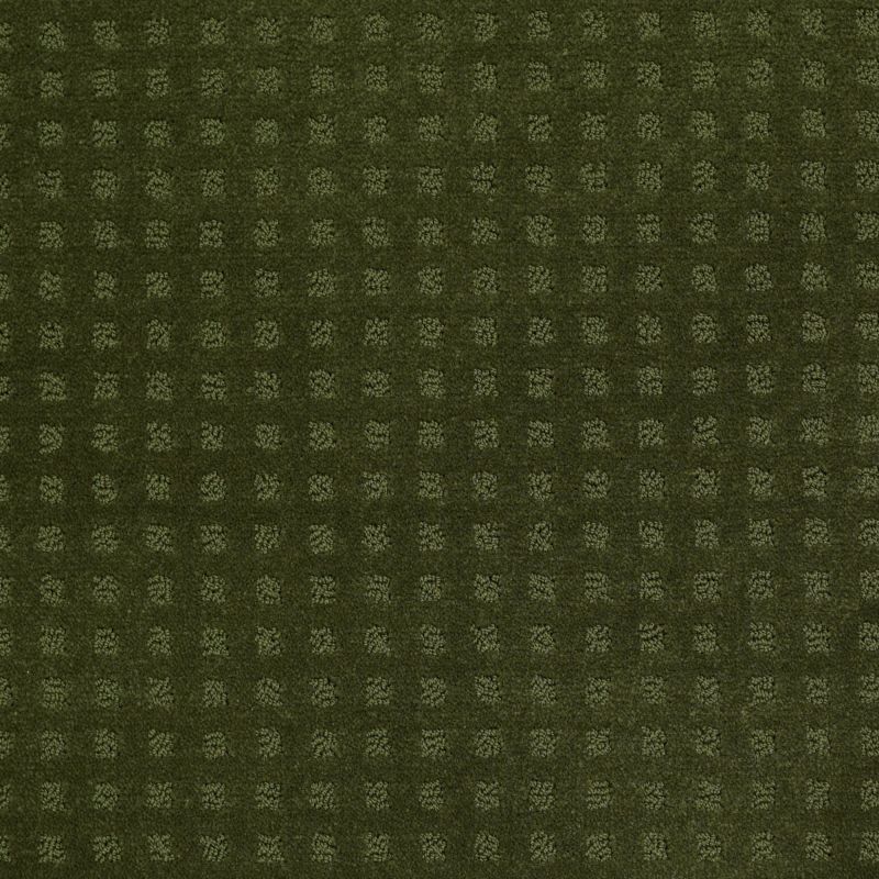 Shaw Floors Roll Special Xv621 Kelly