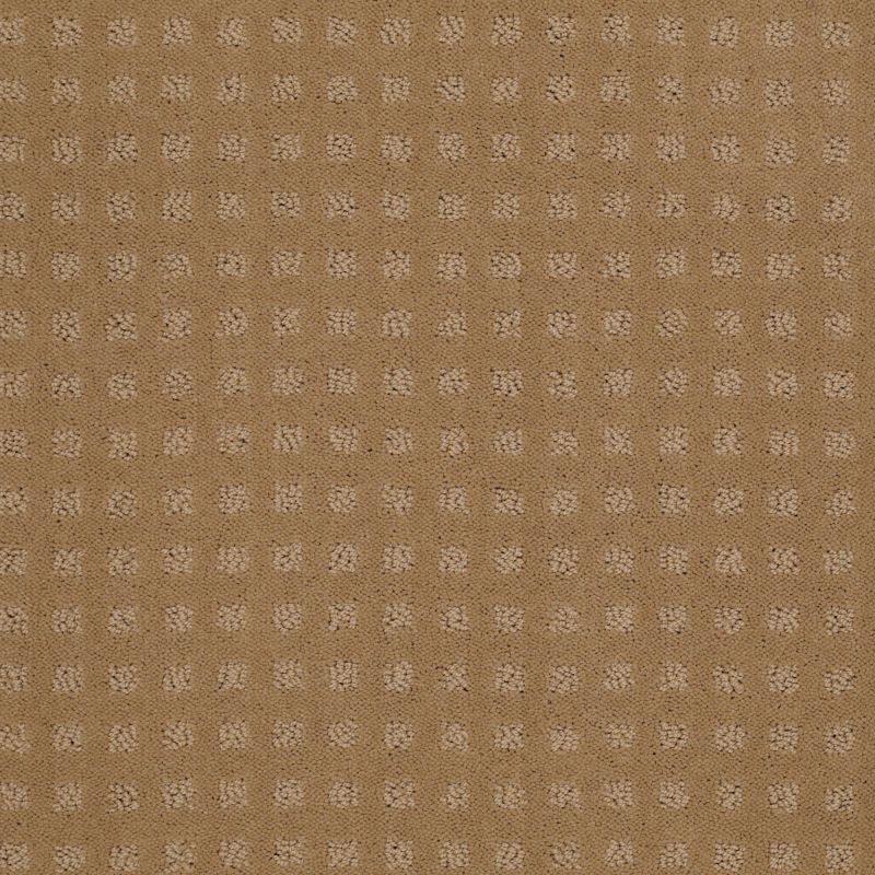 Shaw Floors Roll Special Xv621 Field Stone