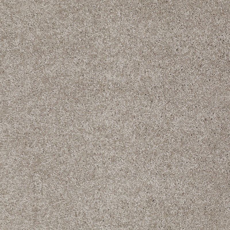 Shaw Floors Roll Special Xv694 Mocha Cream
