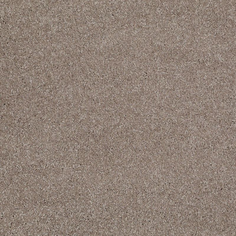 Shaw Floors Roll Special Xv694 Ashen