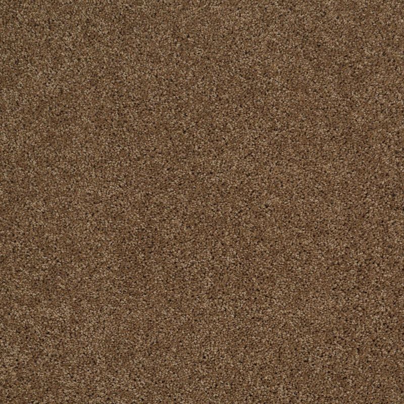 Shaw Floors Roll Special Xv789 Travertine