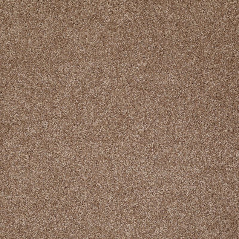 Shaw Floors Roll Special Xv813 Acorn