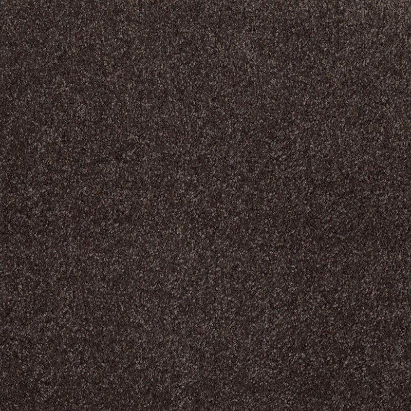 Shaw Floors Roll Special Xv813 Cabot Trail