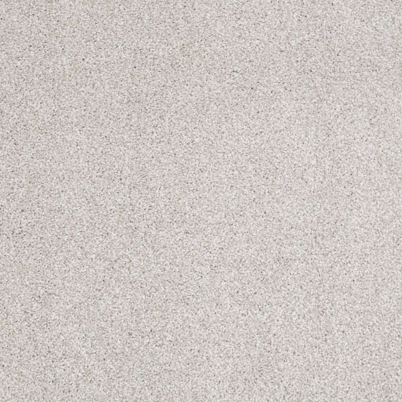 Shaw Floors Roll Special Xv816 Cement Mix