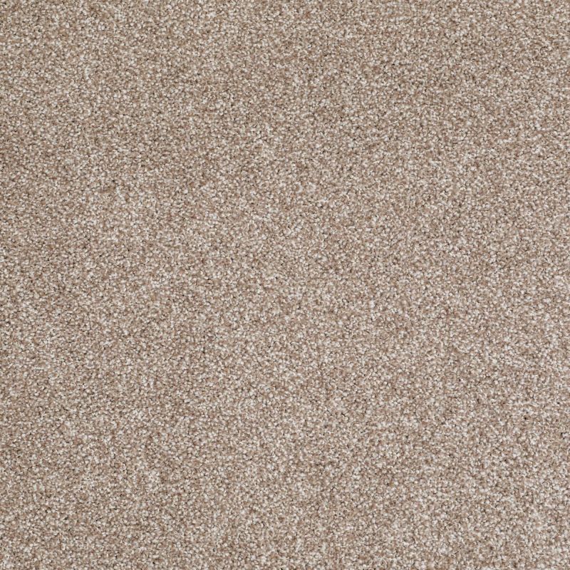 Shaw Floors Roll Special Xv816 Sombrero