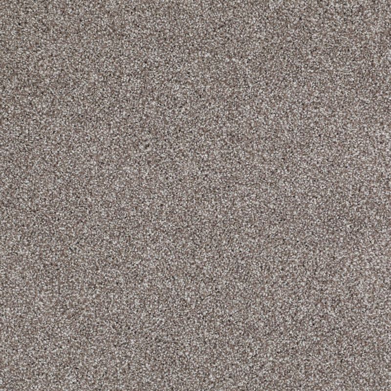 Shaw Floors Roll Special Xv816 Moccasin
