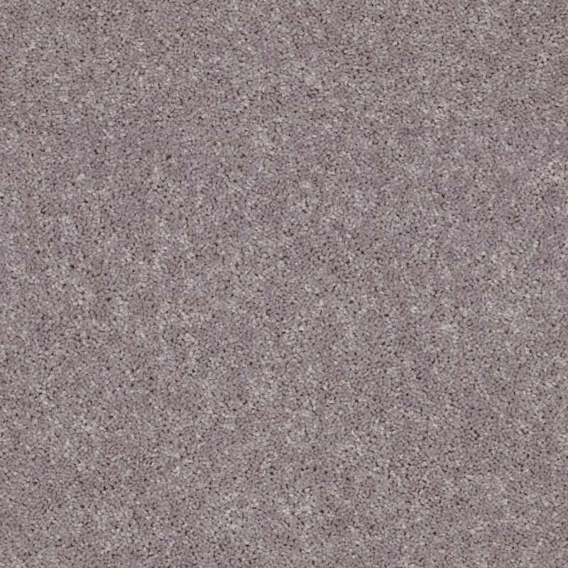 Shaw Floors Roll Special Xv865 River Slate