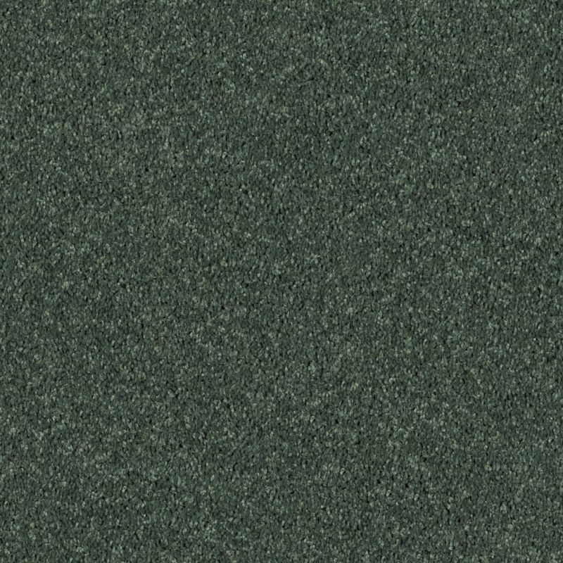 Shaw Floors Roll Special Xv867 Going Green