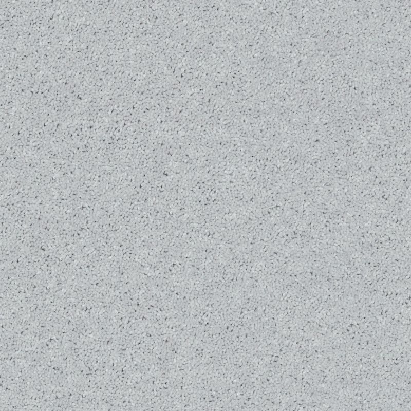 Shaw Floors Roll Special Xv867 Dove