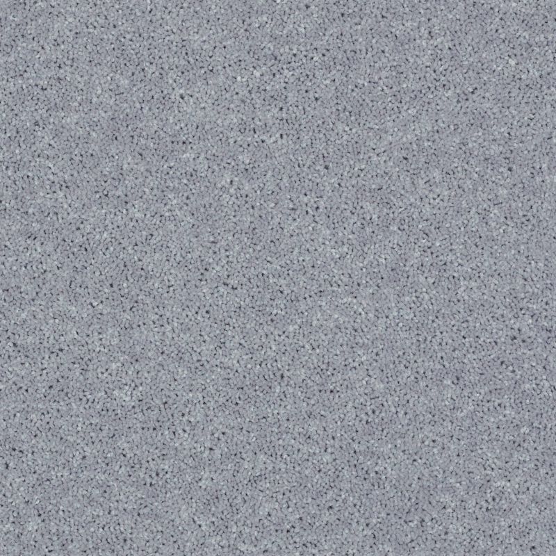 Shaw Floors Roll Special Xv867 Dolphin
