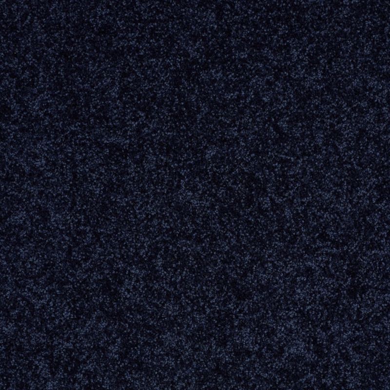 Shaw Floors Roll Special Xv868 Evening Sky