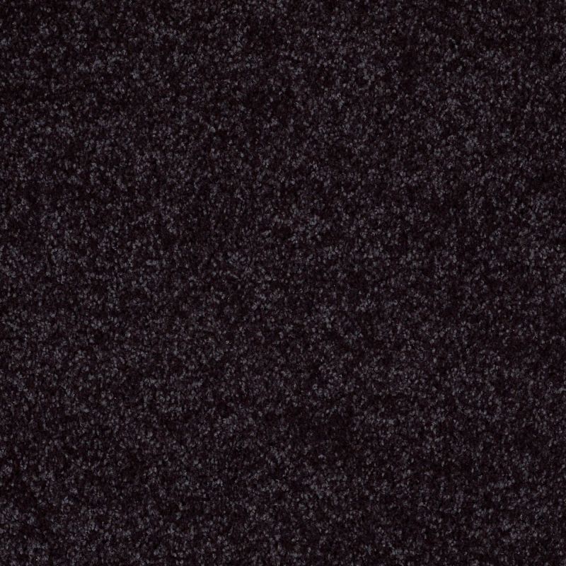 Shaw Floors Roll Special Xv882 Pirate Patch