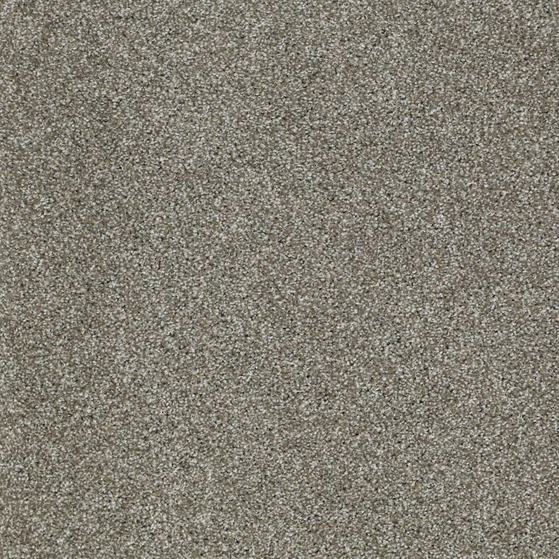 Shaw Floors Roll Special Xv925 Pewter
