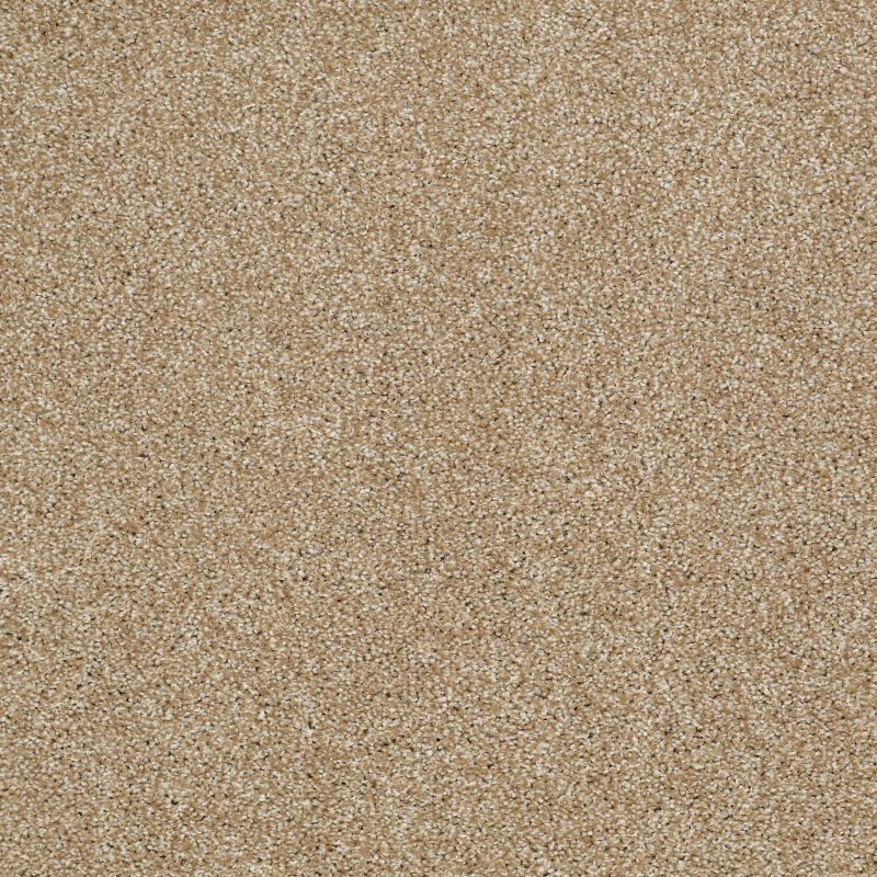 Shaw Floors Roll Special Xv925 Natural Wood